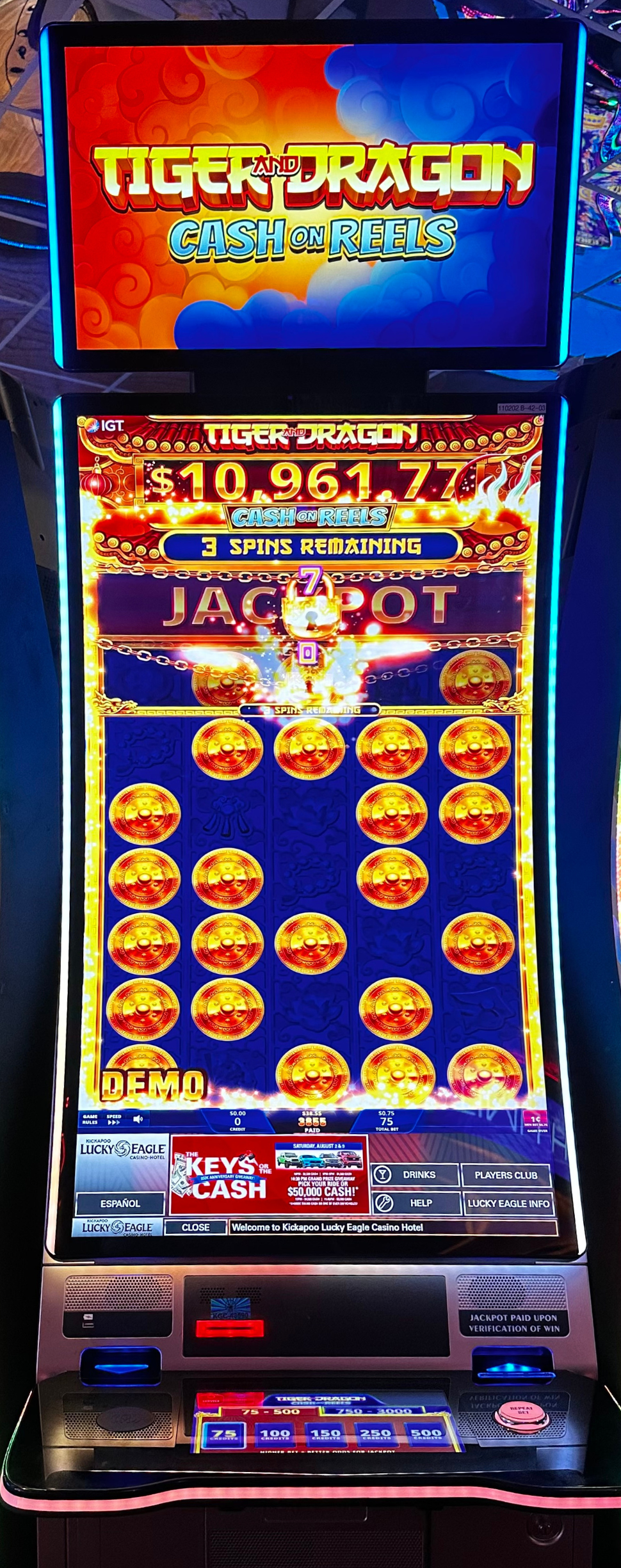 Tiger and Dragon Cash on Reels