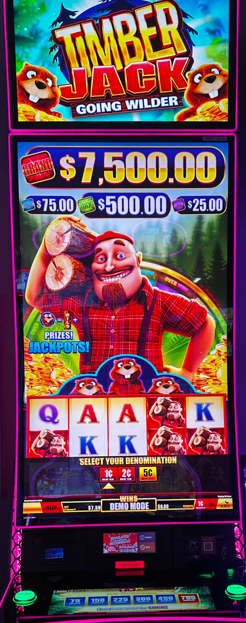 Timber Jack Going Wilder